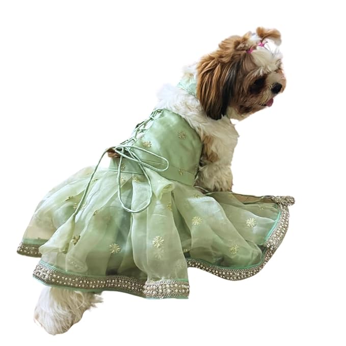 Pista Green Organza Pet Lehenga - for Dogs & Cats - Image 2