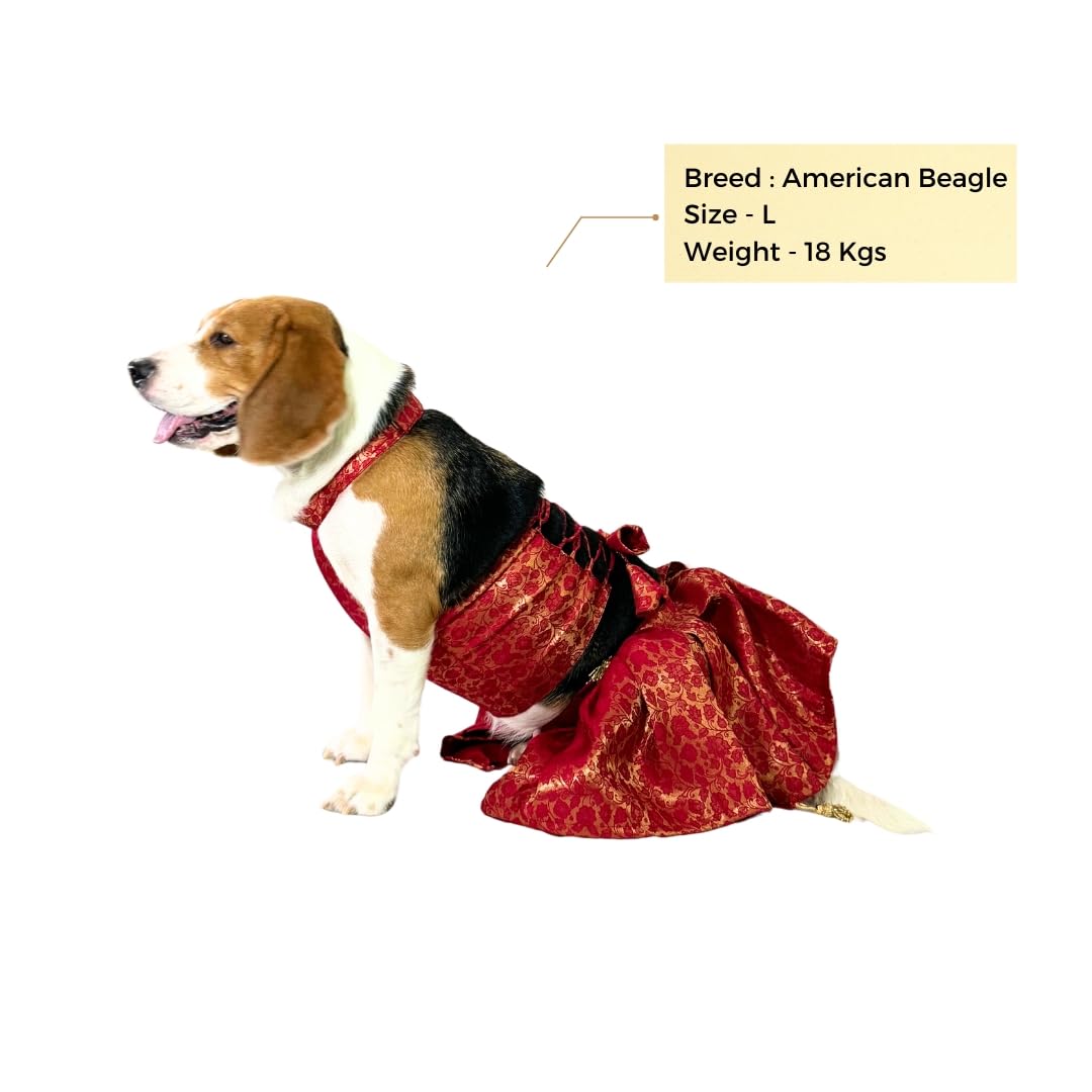 Rani Pink Banarasi Silk Lehenga for Dogs & Cats - Image 2