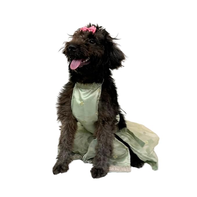 Pista Green Organza Pet Lehenga - for Dogs & Cats - Image 3