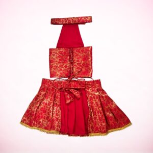 Rani Pink Banarasi Silk Lehenga for Dogs & Cats