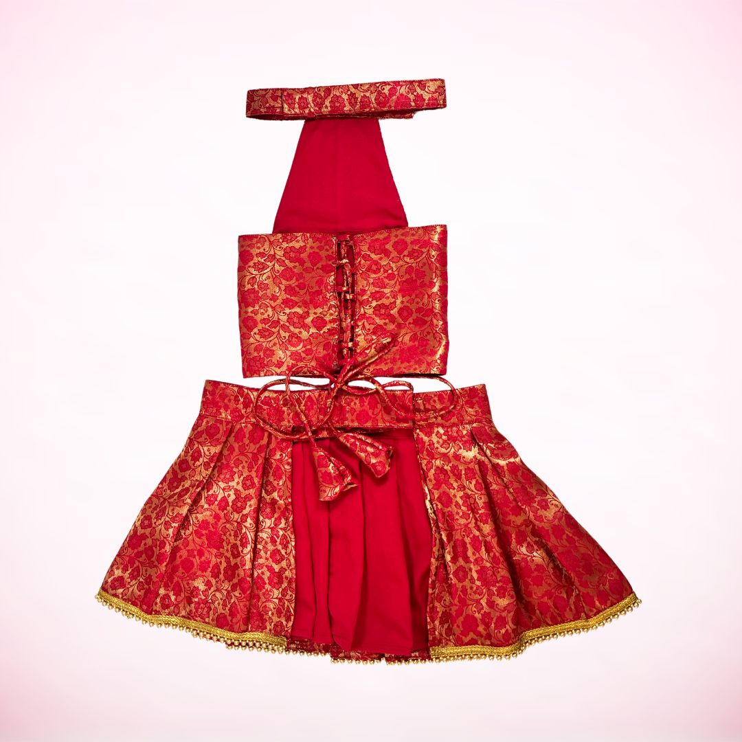 Rani Pink Banarasi Silk Lehenga for Dogs & Cats