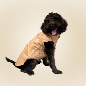 Banarasi Silk Dog Sherwani - Golden Glow