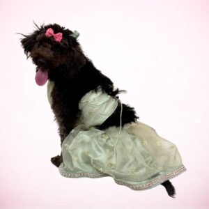 Pista Green Organza Pet Lehenga - for Dogs & Cats
