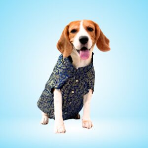 Banarasi Silk Dog Sherwani - Royal Blue