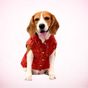 Banarasi Silk Dog Sherwani - Rani Pink