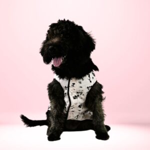 Baby Pink Pure Cotton T-Shirt for Dogs & Cats