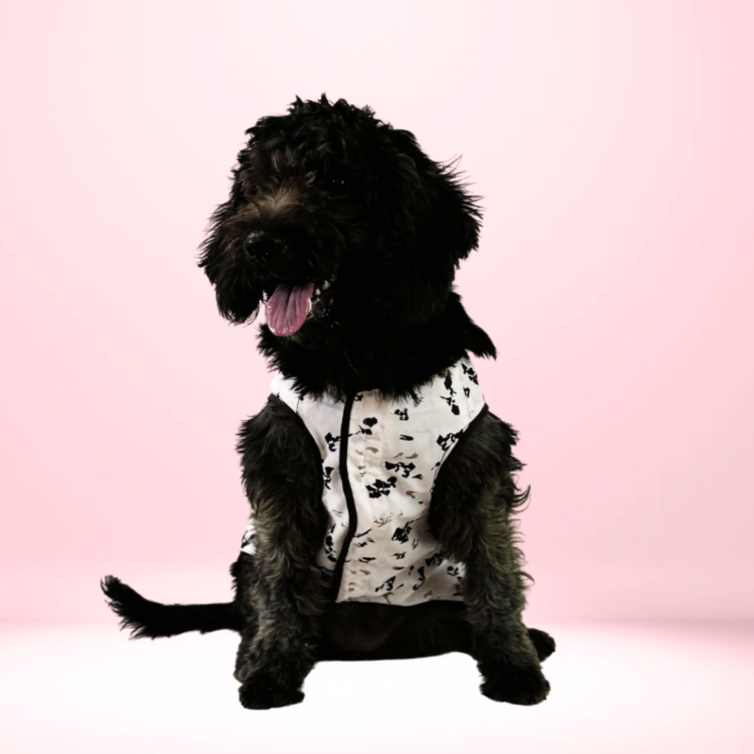 Baby Pink Pure Cotton T-Shirt for Dogs & Cats