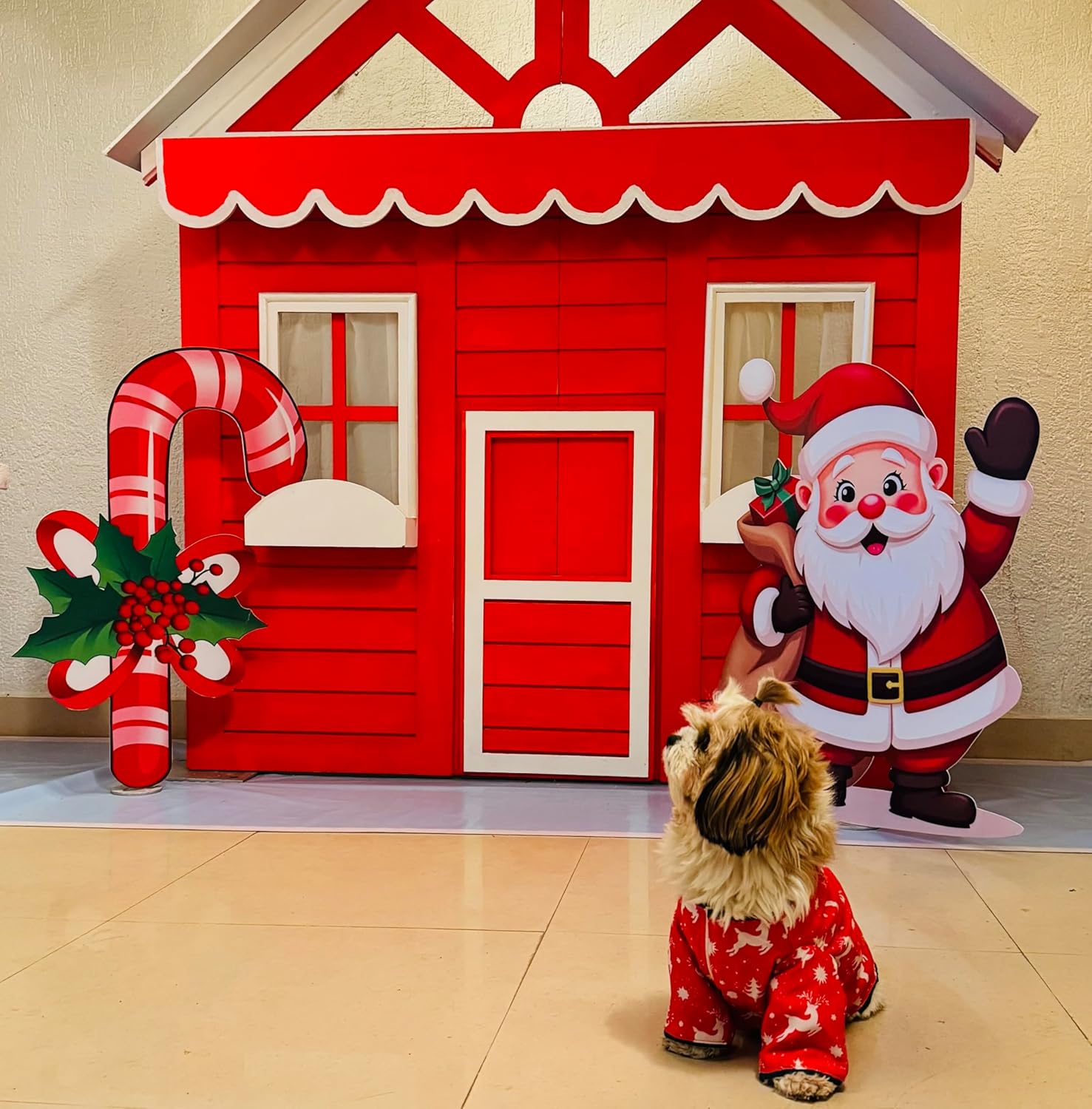 Dog Red Casual Printed Pure Cotton Kurta - Image 3